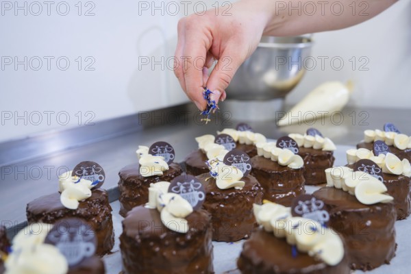 Small chocolate cakes in kitchen, hand adds decoration, vegan cake production, Haselstaller Hof, Gechingen, Germany