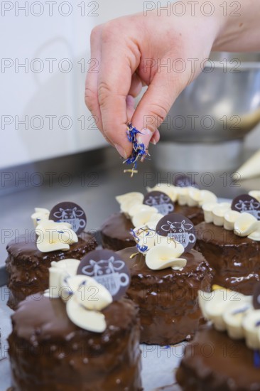 Hand lays flowers on small chocolate cakes, decorated with café logo, vegan cake production, Haselstaller Hof, Gechingen, Germany