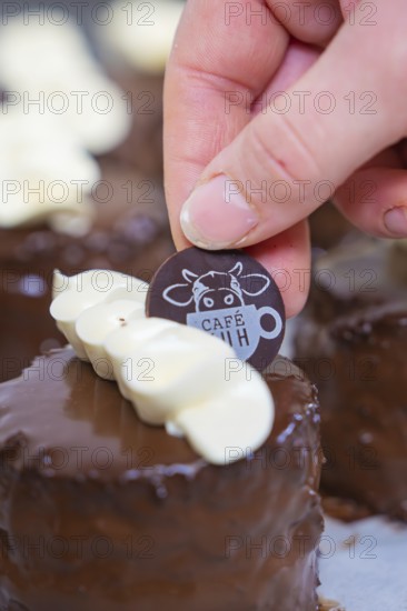 A small round dessert decorated with white chocolate and café emblem, vegan cake production, Haselstaller Hof, Gechingen, Germany