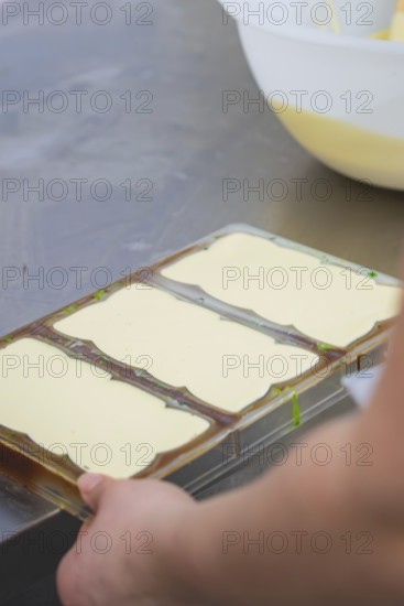 Chocolate molds on a table in a manufacturing environment, Vegan chocolate production, Haselstaller Hof, Gechingen, Germany
