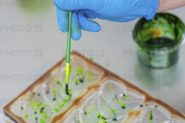 A gloved blue hand holds a brush covered with green paint over a mold, Vegan Chocolate Production, Haselstaller Hof, Gechingen, Germany