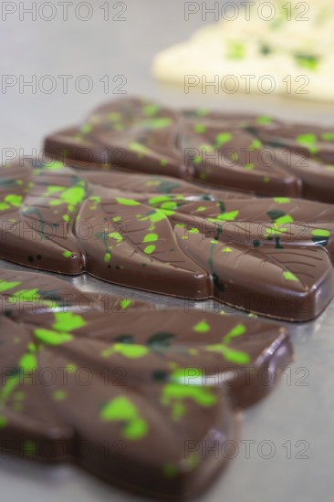 Close-up of dark chocolate bars with green patterns on a table, vegan chocolate production, Haselstaller Hof, Gechingen, Germany