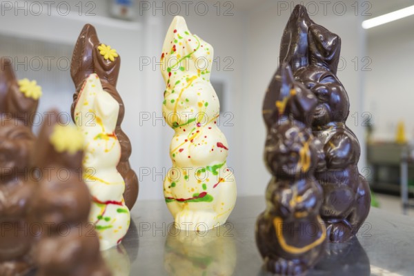Different sized chocolate bunnies in Easter presentation, Easter production of regional products, Haselstaller Hof, Gechingen, Calw district, Germany