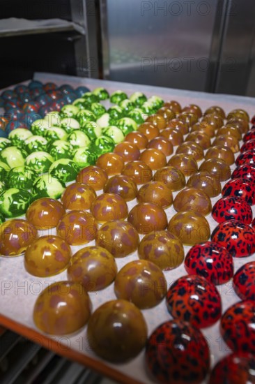 Tray with shiny chocolates in various colors and patterns, Easter production of regional products, Haselstaller Hof, Gechingen, Calw district, Germany