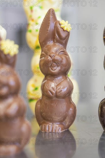 Happy chocolate bunny with flower decoration, standing upright on metal surface, Easter production of regional products, Haselstaller Hof, Gechingen, Calw district, Germany