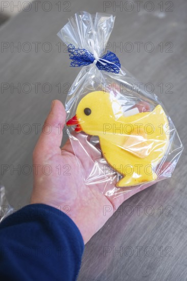 Yellow duck cookie is held in the hand, wrapped in transparent film with blue ribbon, Easter production of regional products, Haselstaller Hof, Gechingen, Calw district, Germany