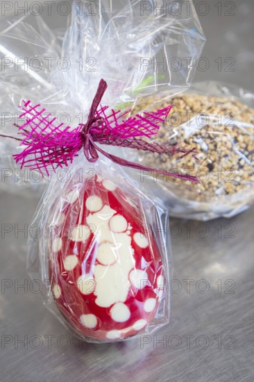 Red and white dotted Easter egg with purple ribbon wrapped in transparent film on metal surface, Easter production of regional products, Haselstaller Hof, Gechingen, Calw district, Germany