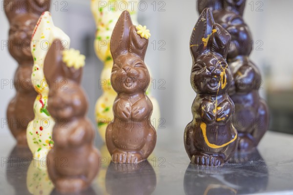 Various chocolate Easter bunnies in an Easter mood, Easter production of regional products, Haselstaller Hof, Gechingen, Calw district, Germany