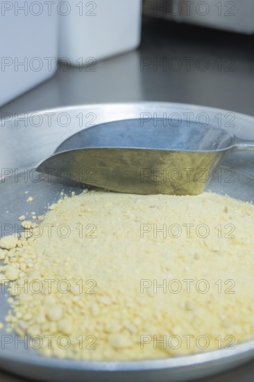 A tray with a metal scoop full of yellow powder in a kitchen, chocolate quail eggs, Easter production, Haselstaller Hof, Gechingen, Germany
