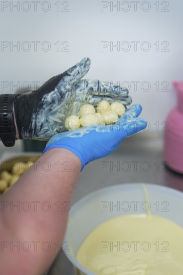 Person holding chocolates over a white bowl in a kitchen, chocolate quail eggs, Easter production, Haselstaller Hof, Gechingen, Germany