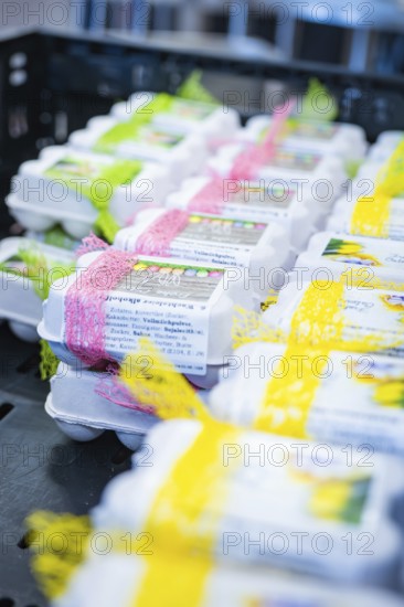 Close-up of egg boxes with different colored ribbons in a box, chocolate quail eggs, Easter production, Haselstaller Hof, Gechingen, Germany