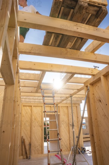 Interior view of a timber structure with ladder and sunlight, timber house construction, Gechingen, Germany