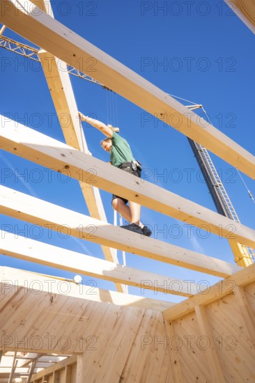 Construction of a wooden building with workers on the roof, timber house construction, Gechingen, Germany