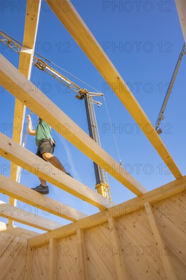 Construction worker balancing on wooden scaffolding under a clear sky, timber house construction, Gechingen, Germany