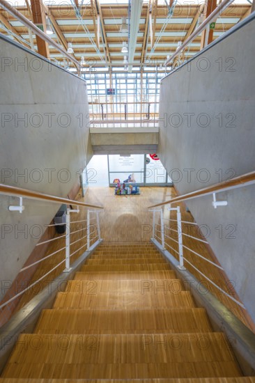 Wooden staircase overlooking a glass wall in a bright, modern building, Schlehengäu Sporthalle Gechingen, Calw district, Germany