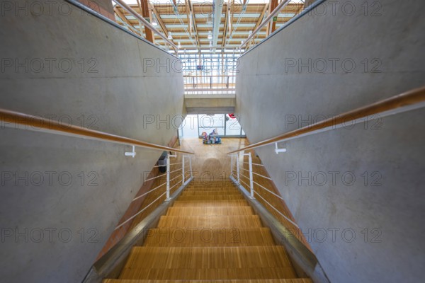 Wooden staircase with concrete walls in a modern public building, Schlehengäu Sporthalle Gechingen, Calw district, Germany