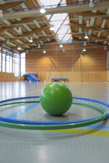 Green ball surrounded by tires in a large gym with wooden ceiling, Schlehengäu Sporthalle Gechingen, Calw district, Germany
