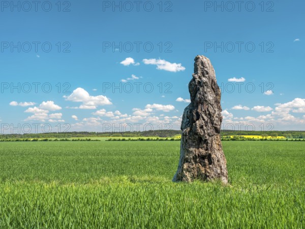 The menhir of Benzingerode, with a height of 3.85 m the largest prehistoric menhir in northern Germany, Wernigerode, Harzvorland, Saxony-Anhalt, Germany