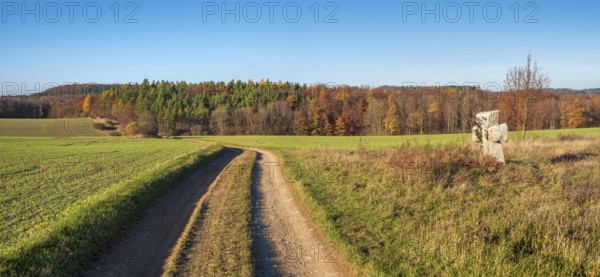 Medieval stone cross on the edge of the field in autumn, dirt road through autumn landscape, Sühnekreuz, Mordkreuz, Liebenstein, Thuringia, Germany