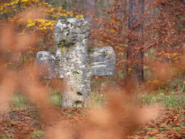 Medieval stone cross in the forest in autumn, atonement cross, murder cross, court cross, Spaal desert, Uhlstädt-Kirchhasel, Thuringia, Germany