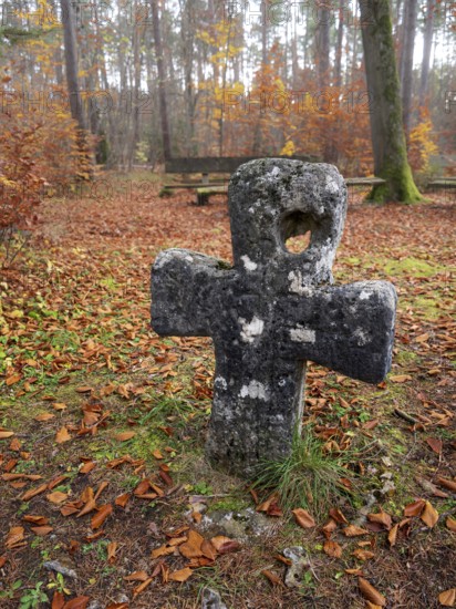 Medieval stone cross in the forest in autumn, atonement cross, murder cross, court cross, Spaal desert, Uhlstädt-Kirchhasel, Thuringia, Germany