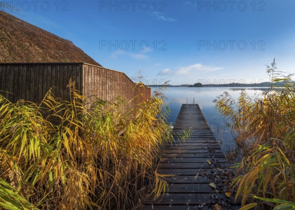 Jetty and boathouse at Schaalsee in morning light, reeds in autumn colors, Schaalsee Biosphere Reserve, Mecklenburg-Western Pomerania Germany