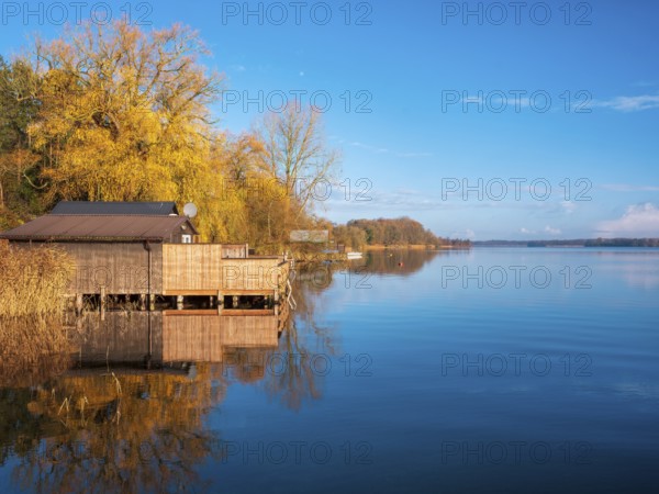 Shore with boathouses on Schaalsee in morning light, reeds and trees in autumn colors, Schaalsee Biosphere Reserve, Mecklenburg-Western Pomerania Germany