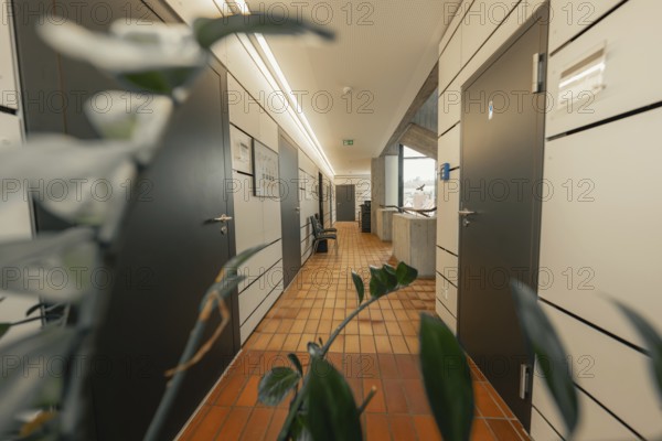 Modern corridor in office building with plants and doors, bright lighting, interior view, Gechingen Town Hall, Calw district, Germany