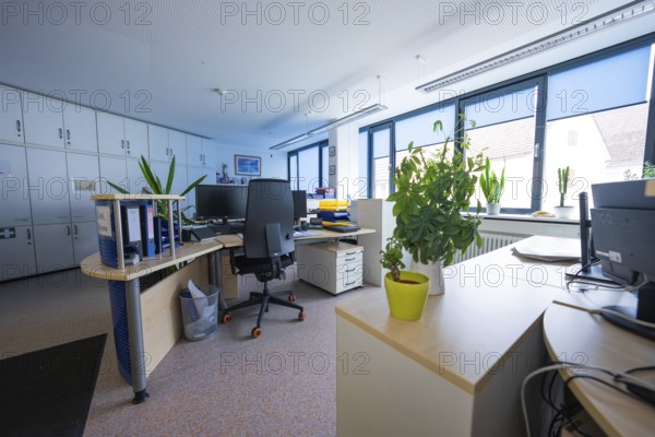 Desks with plants in a modern office environment with large windows, Gechingen Town Hall, Calw District, Germany