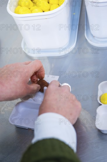 Person packs chocolate eggs with yellow and brown wrappers into containers, chocolate quail eggs, Easter production, Haselstaller Hof, Gechingen, Germany