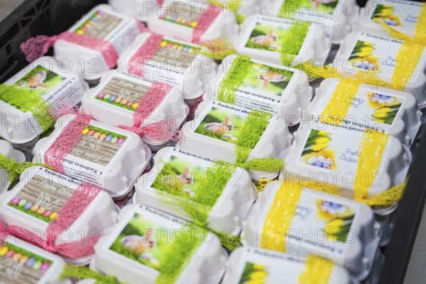 Decorated egg cartons with colorful ribbons and rabbit pictures on them, chocolate quail eggs, Easter production, Haselstaller Hof, Gechingen, Germany