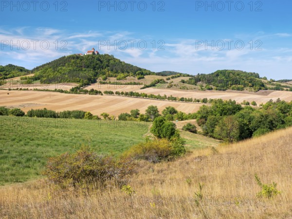 View of hilly landscape with meadows, fields and forests of Wachsenburg Castle in summer, Burgenensemble Drei Gleichen, Thuringian Burgenland, Thuringian Basin, Holzhausen, Thuringia, Germany