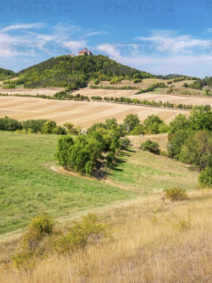 View of hilly landscape with meadows, fields and forests of Wachsenburg Castle in summer, Burgenensemble Drei Gleichen, Thuringian Burgenland, Thuringian Basin, Holzhausen, Thuringia, Germany