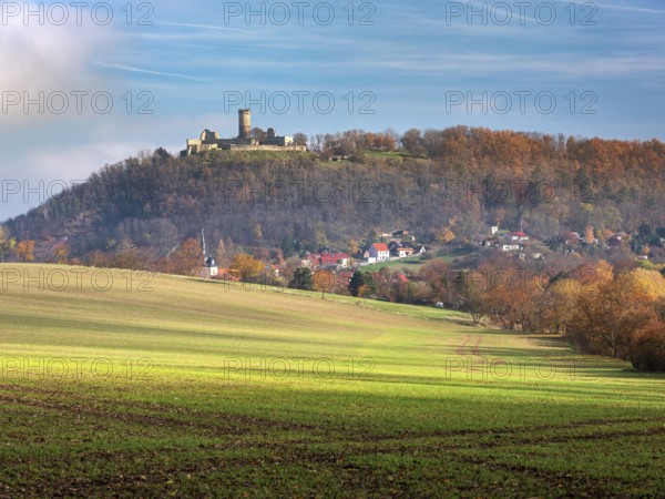 View over field with winter sowing of the ruins of Mühlburg and the village of Mühlberg in autumn, Burgenensemble Drei Gleichen, Thuringian Burgenland, Thuringian Basin, Mühlberg, Thuringia, Germany