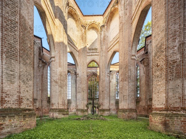 Ruin of Gothic monastery church, North German brick Gothic, brick architecture, Dargun, Mecklenburg-Western Pomerania, Germany