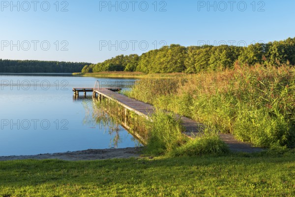 Bathing area with jetty in the reeds in the evening light, Dranser See in the district of Schweinrich, Wittstock (Dosse), Brandenburg, Germany