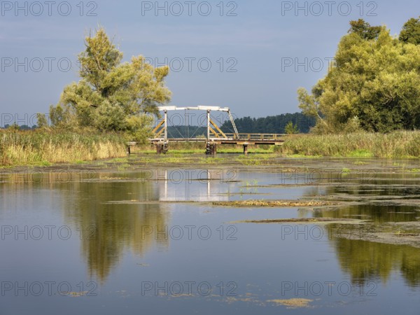 Traditional wooden bridge, folding bridge, across the Trebel River in the Trebel Valley, Peenetal River Landscape nature park Park, Mecklenburg-Western Pomerania, Germany