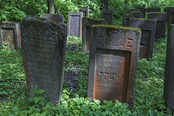Lezajsk Jewish Cemetery, Poland