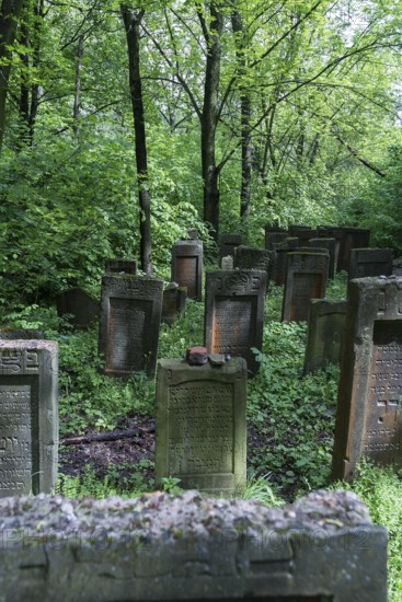 Lezajsk Jewish Cemetery, Poland