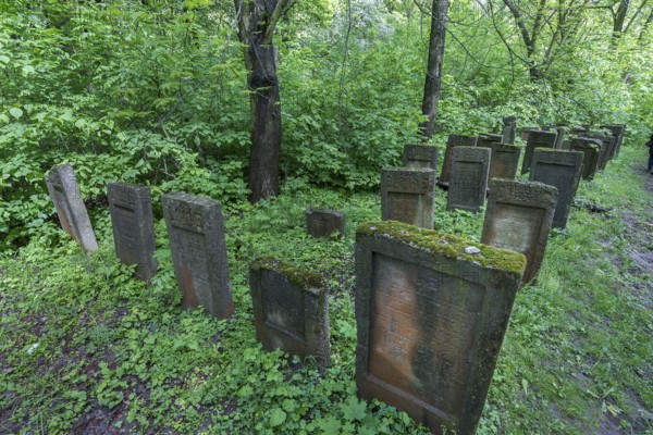 Tombstones at the Jewish cemetery in Lezajsk, Poland