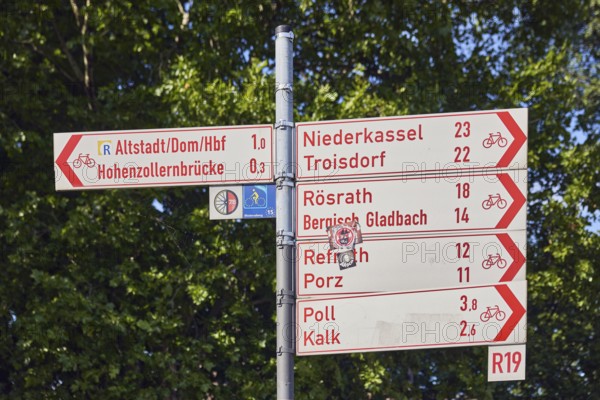 Guide to Altstadt - Dom - Hbf, Hohenzollernbrücke, Niederkassel - Troisdorf, Rösrath - Bergisch Gladbach, Refrath - Porz und Poll - Kalk, Rheinradweg cycle route, trees, depth of focus, sunny, Cologne, district-free city, North Rhine-Westphalia, Germany