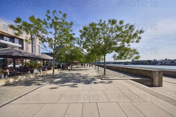 Grissini restaurant and terrace, outdoor area, gastronomy, Rhine river, concrete wall, waterfront, footpath made of paving slabs, city trees, blue sky, cloudless, Kennedy shore, Cologne, district-free city, North Rhine-Westphalia, Germany