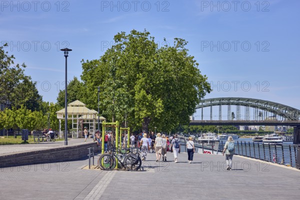 Rhine river, bridge, Hohenzollern bridge, metal railing, lantern, waterfront, pedestrians as accessories, trees, blue sky, cloudless, Leystapelwerft, Cologne, district-free city, North Rhine-Westphalia, Germany