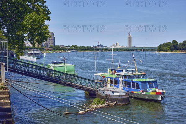 Rhine river, Strolch ferry, Weisbarth Fahrgastschiff GmbH, gangway, quay, quay wall, general architecture, Zoobrücke car bridge, excursion ship, trees, blue sky, cloudless, Trankgassenwerft, Cologne, district-free city, North Rhine-Westphalia, Germany