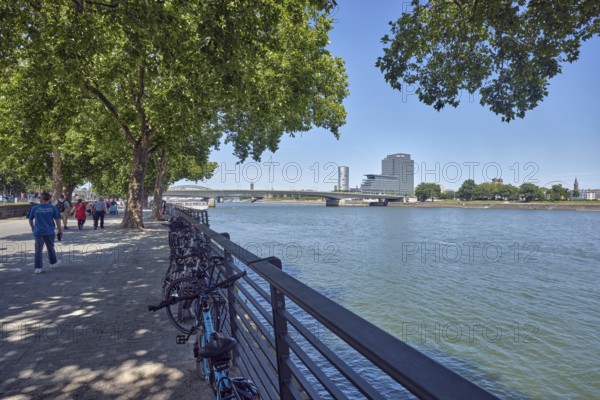 Rhine river, general architecture, MaxCologne high-rise building, bridge, Deutz bridge, metal railings, waterfront, trees, bicycles, pedestrians as accessories, image processing contrasts, blue sky, cloudless, Leystapelwerft, Cologne, district-free city, North Rhine-Westphalia, Germany