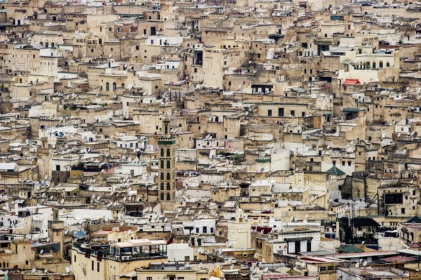 Panorama, Medina, UNESCO World Heritage Site, Fez, Morocco