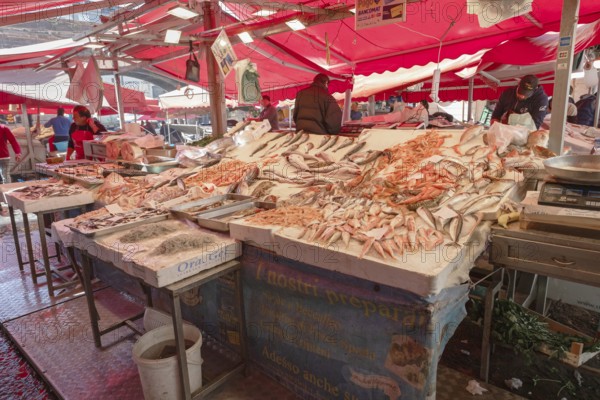 Fish Market, Catania, Catania province, Sicily, Italy