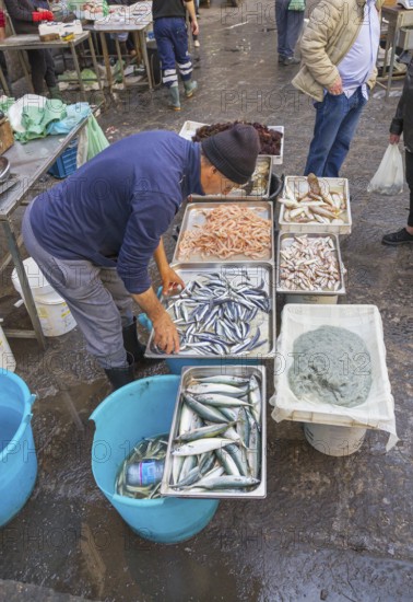 Fish Market, Catania, Catania province, Sicily, Italy