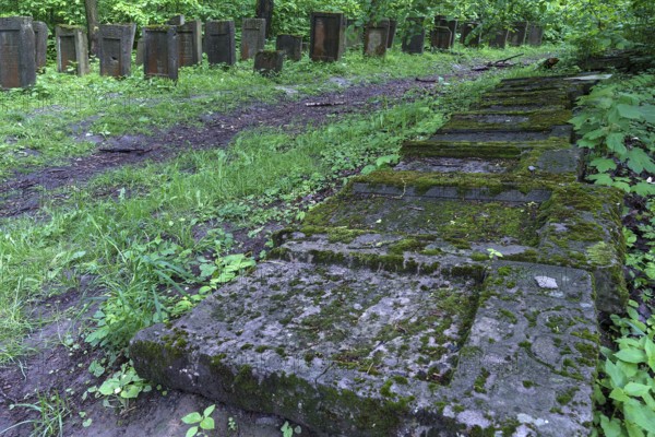 Lezajsk Jewish Cemetery, Poland