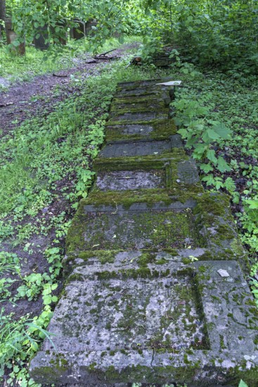 Tombstones at the Jewish cemetery in Lezajsk, Poland